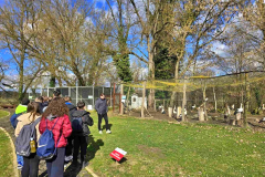 viber_slika_2026-02-14_09-56-25-684_1024x768