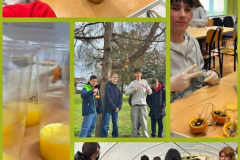 viber_slika_2026-02-14_09-56-25-706_614x768