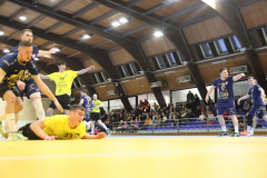 IMG_8946_1024x683