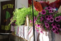 IMG_0248_1024x683