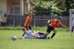 IMG_5825_1024x683