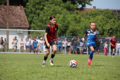 IMG_5926_1024x683