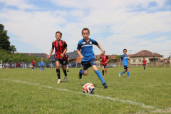 IMG_5930_1024x683