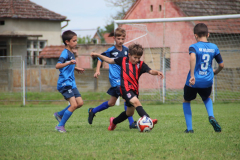 IMG_5934_1024x683
