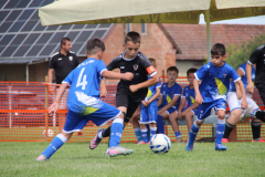 IMG_5957_1024x683