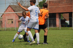IMG_5965_1024x683