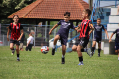 IMG_6030_1024x683