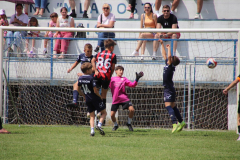 IMG_6037_1024x683