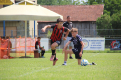IMG_6090_1024x683