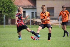 IMG_6115_1024x683