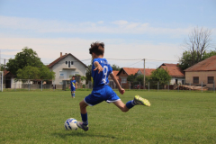 IMG_6176_1024x683