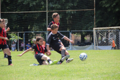 IMG_6195_1024x683
