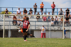 IMG_6217_1024x683