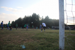 IMG_1937_1024x683