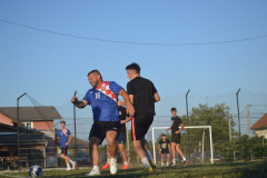 DSC_0280_1024x683