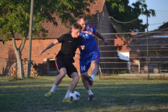 DSC_0306_1024x683