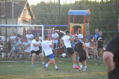 DSC_0350_1024x683