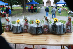 IMG_9454_1024x683