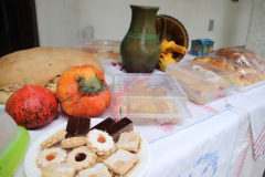 IMG_4677_1024x683