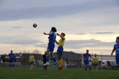 IMG_4865_1024x683