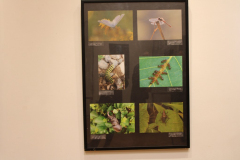IMG_2290_1024x683