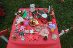 IMG_0818_1200x800