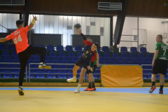 DSC_0012_1024x683