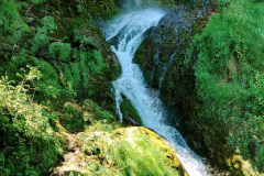 IMG-a2af6b5ed4f5ea0586024a8b0a4c9ac2-V_576x768