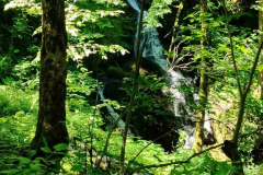 IMG-d431ed79269fc8d1db6bec2f837042bd-V_576x768