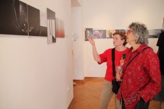 IMG_0752_1024x683