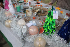 IMG_4885_1024x683