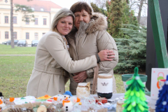 IMG_4917_1024x683