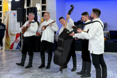 IMG-e70c252c6440e740dff28eac6050c142-V_786x683