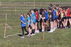 IMG-4d5fc5ecc66de23850235ee72238a4ab-V_1024x768