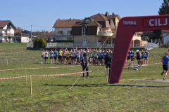 IMG-a652ba335e2fea1c30e9cf84ab998e11-V_1024x768