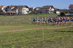 IMG-cc6f834996293ae322ba3e8d04249c77-V_1024x768