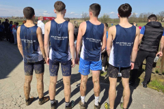 IMG-f9740bc283bfba6e30afee71df9415d2-V_1024x768