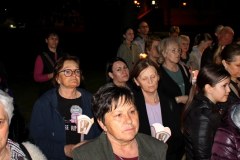 IMG_9230_1024x446