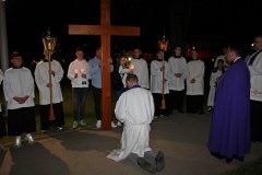 IMG_9308_1024x683