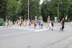 IMG_6599_1024x683