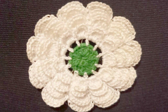33a_909x768