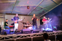 IMG_4540_1024x683