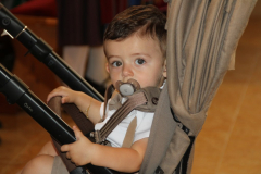 IMG_8568_1024x683