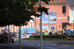 IMG_3728_1024x683