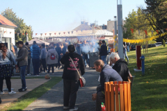 IMG_3440_1024x683