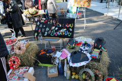 IMG_3441_1024x683