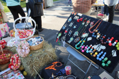 IMG_3443_1024x683