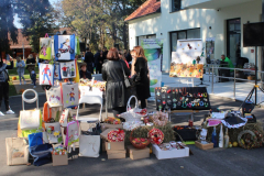 IMG_3474_1024x683