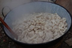 IMG_5027_1024x682