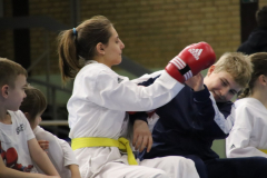 IMG_1717_1024x683
